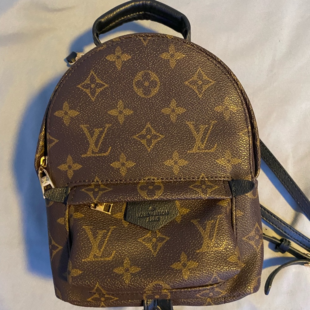 Authentic Louis Vuitton Palm Springs Mini Backpack